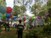 Sarangan 01-001